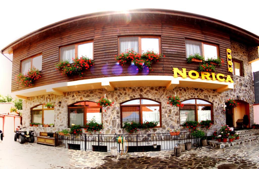 Pensiunea Norica Ґура-Риулуй Екстер'єр фото
